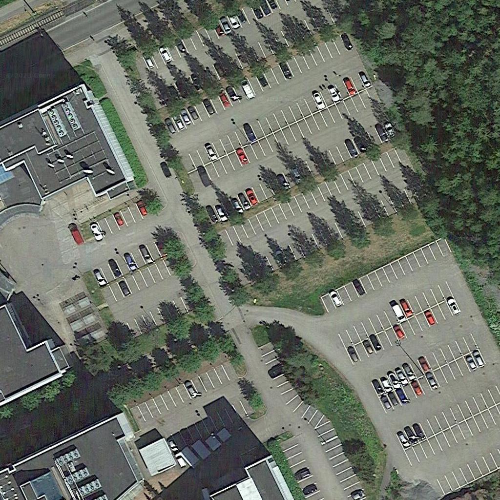 Dataset Image