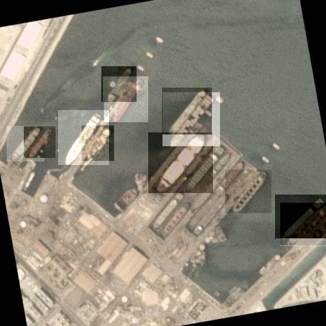 Dataset Image