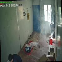 Dataset Image