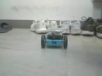 Dataset Image