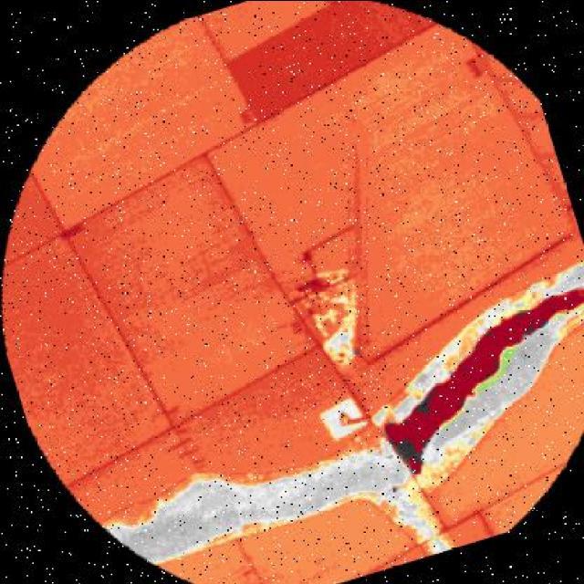 Dataset Image