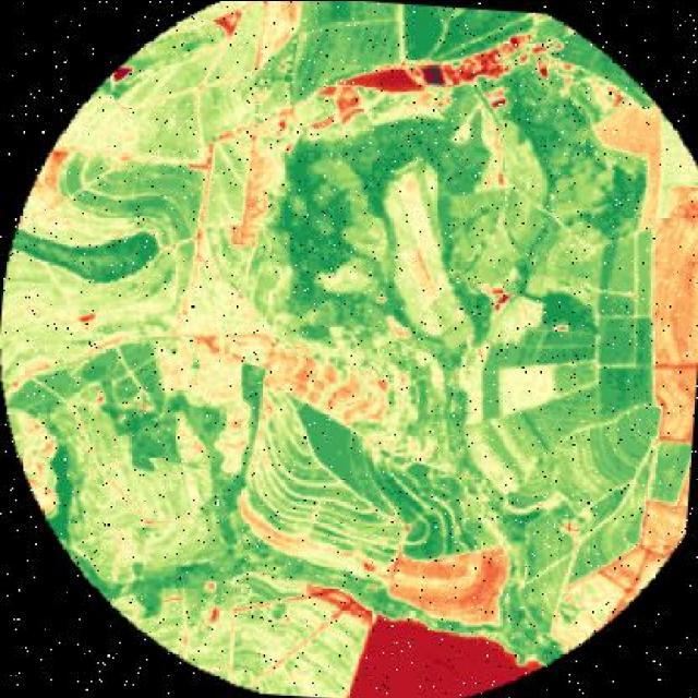 Dataset Image