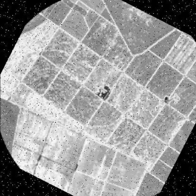 Dataset Image