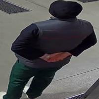 Dataset Image