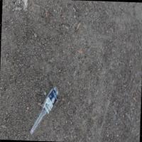 Dataset Image