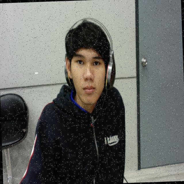 Dataset Image