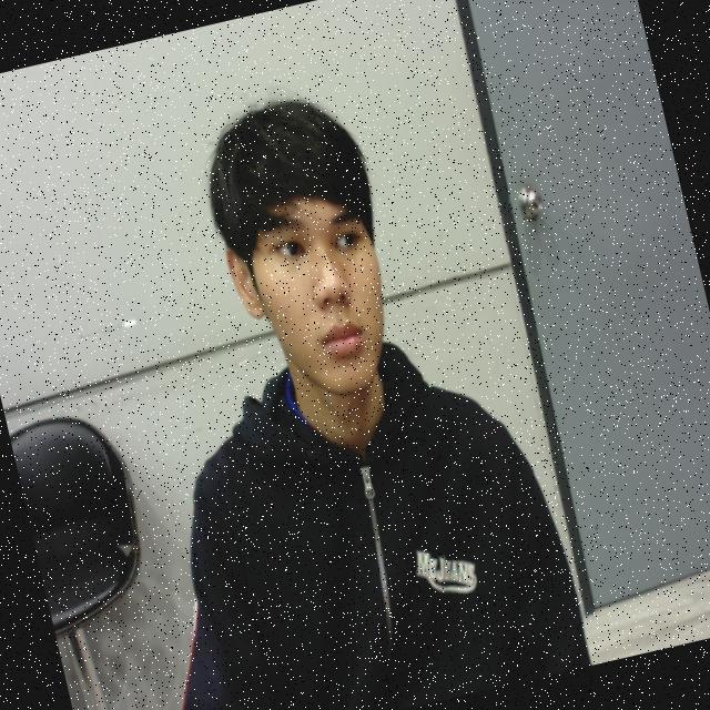 Dataset Image