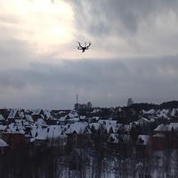 Dataset Image