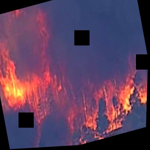 Dataset Image