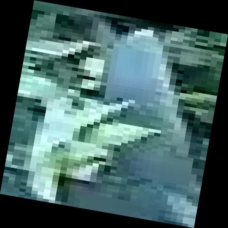 Dataset Image