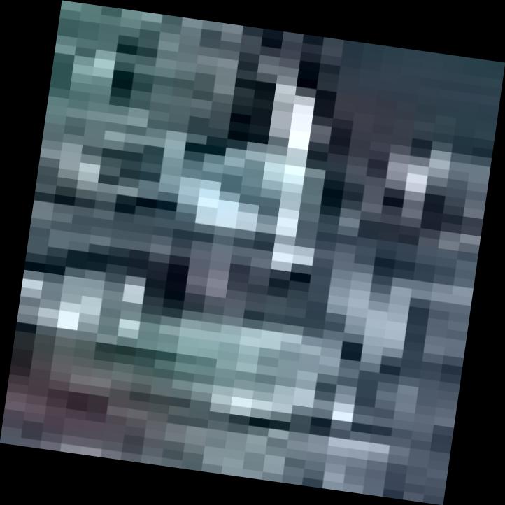 Dataset Image