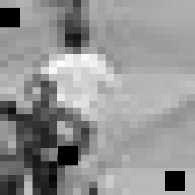 Dataset Image