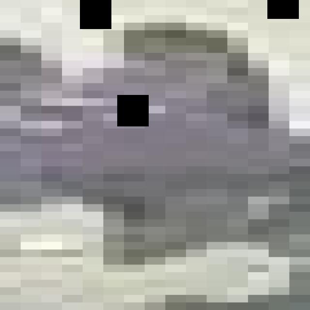 Dataset Image