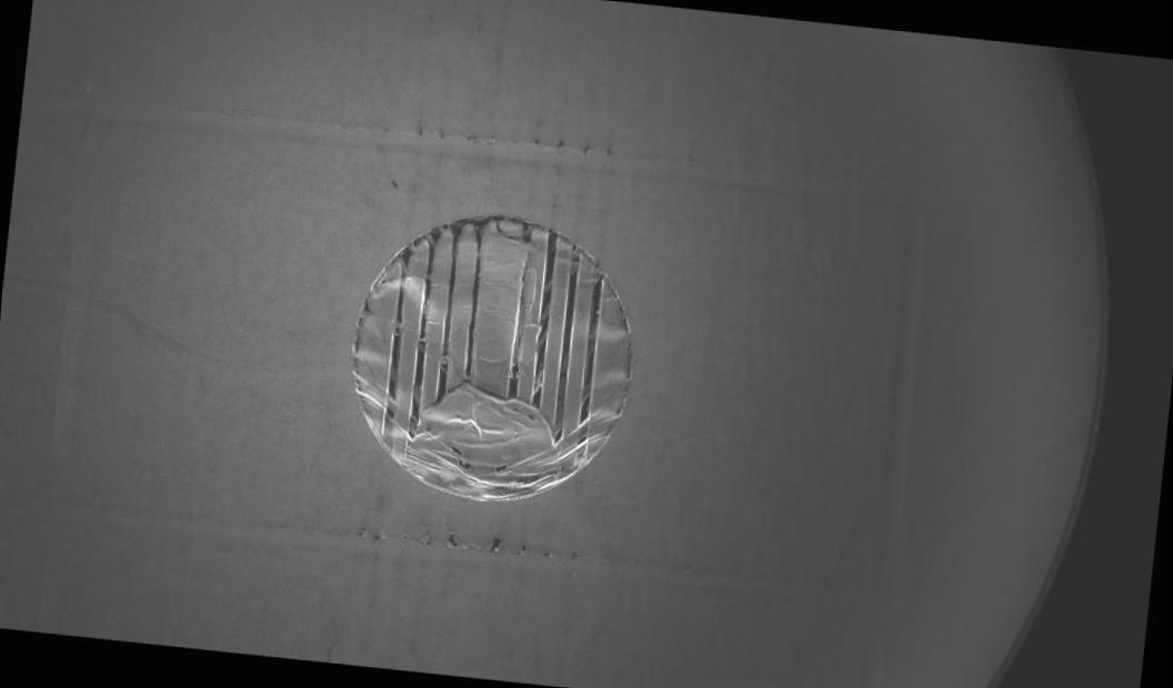 Dataset Image