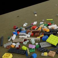 Dataset Image