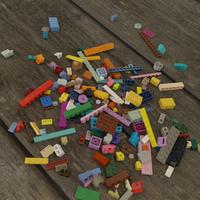 Dataset Image