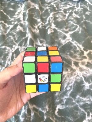 Dataset Image