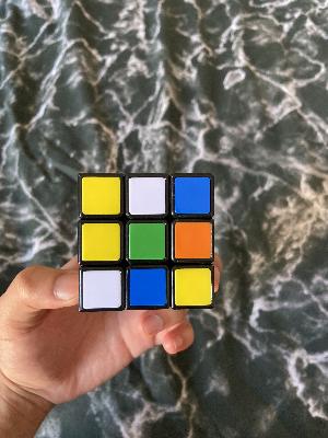 Dataset Image