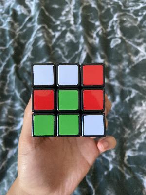 Dataset Image
