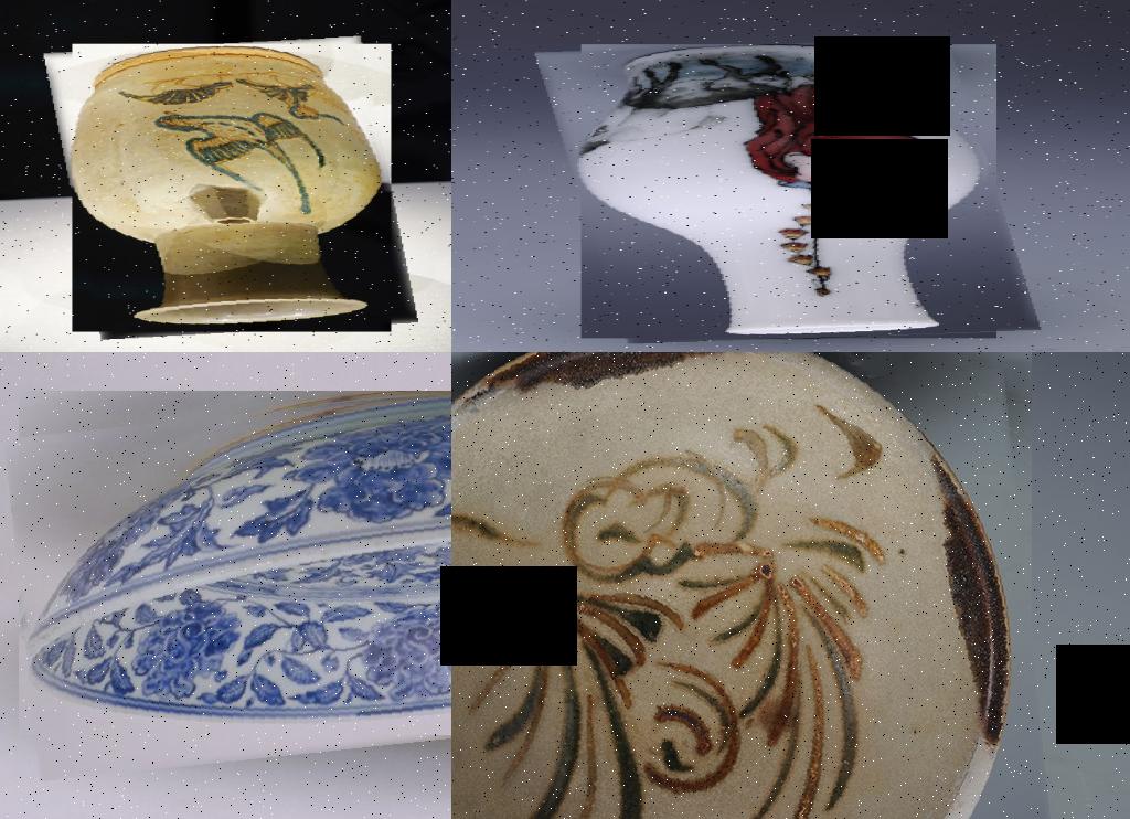 Dataset Image