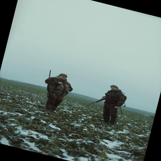 Dataset Image