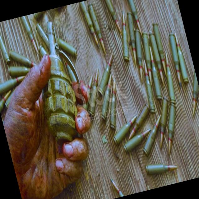 Dataset Image