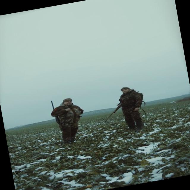 Dataset Image