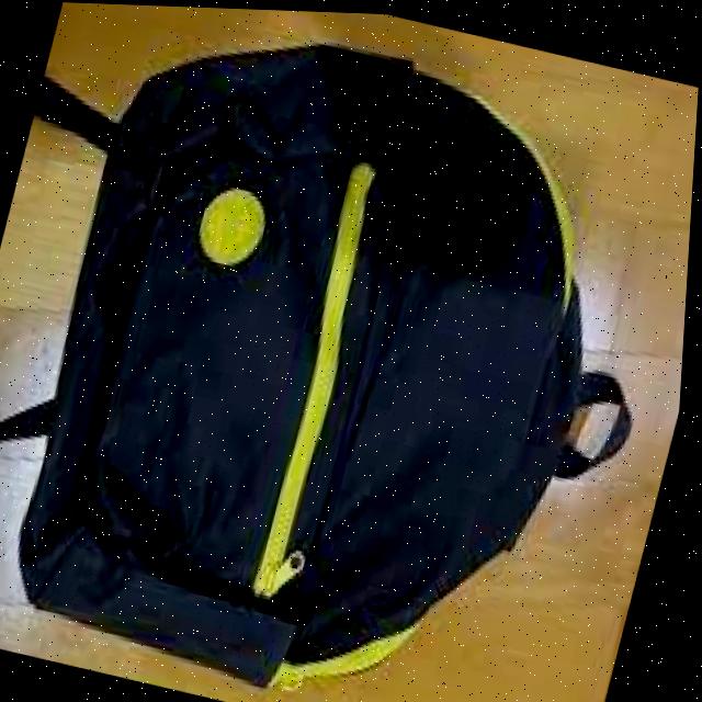 Dataset Image