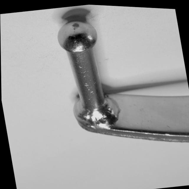 Dataset Image