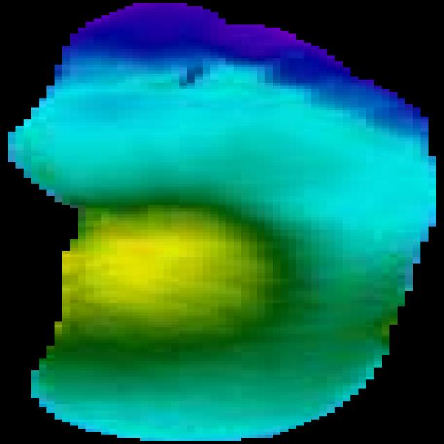 Dataset Image