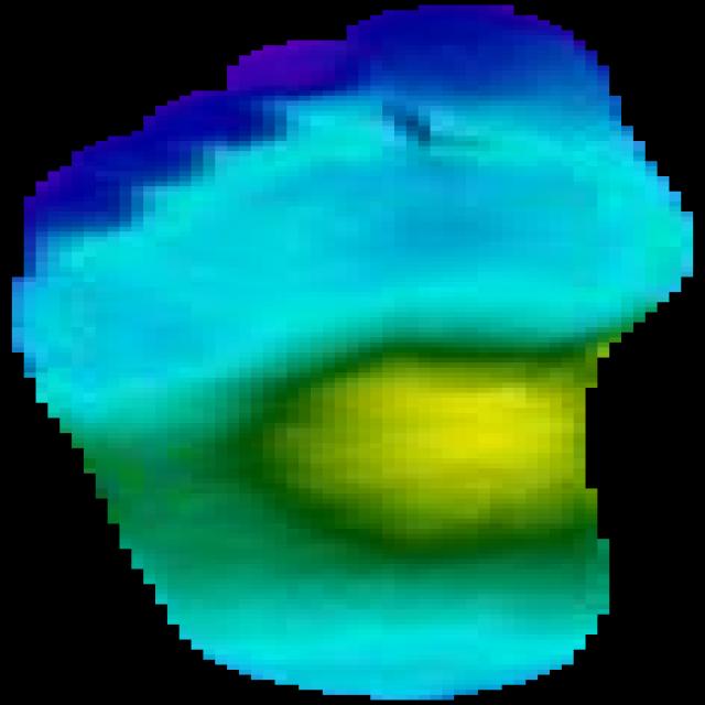 Dataset Image