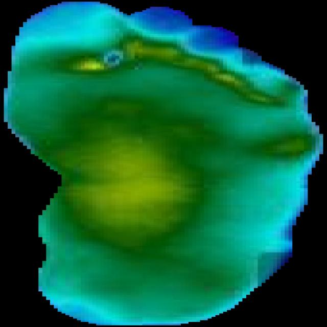 Dataset Image