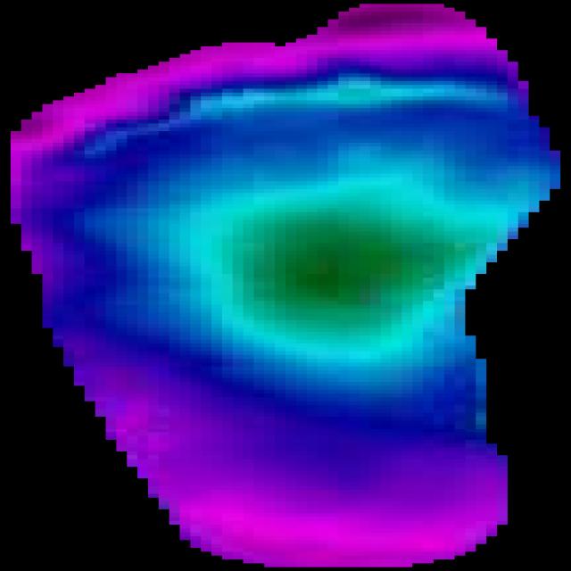 Dataset Image