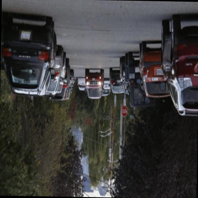 Dataset Image
