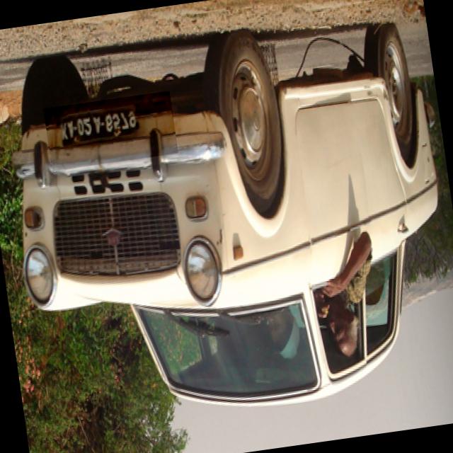 Dataset Image