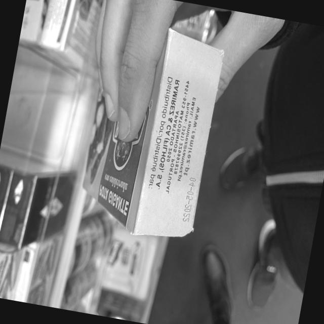 Dataset Image