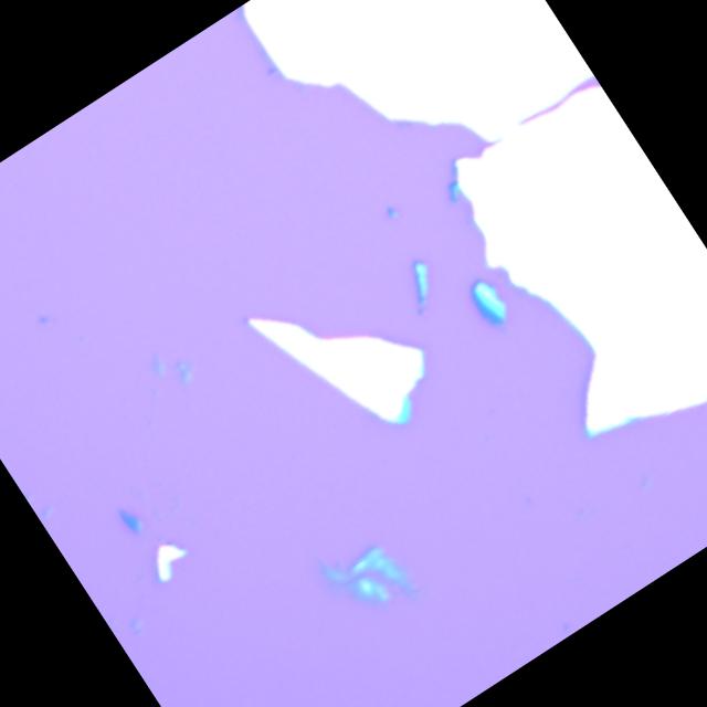 Dataset Image