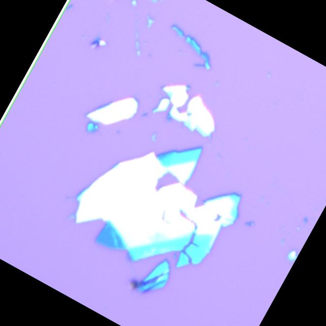 Dataset Image