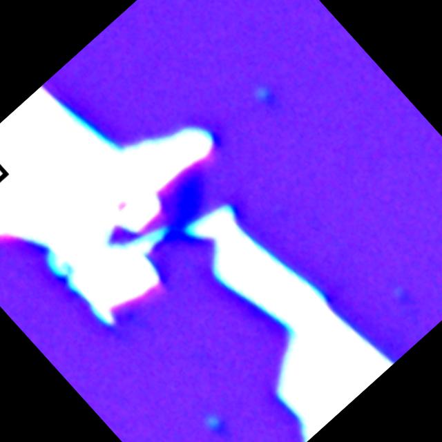 Dataset Image