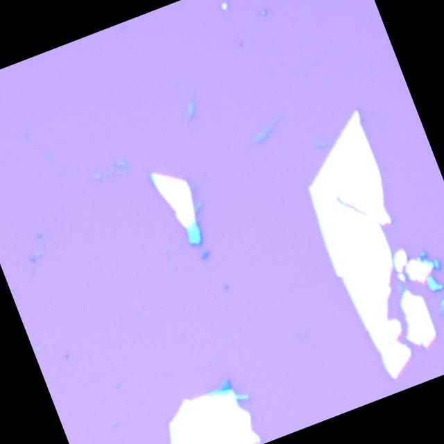 Dataset Image