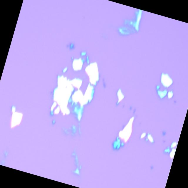 Dataset Image