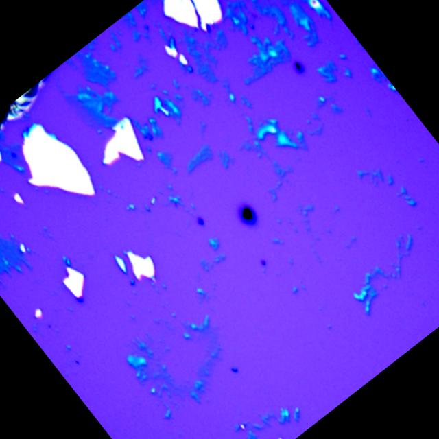 Dataset Image