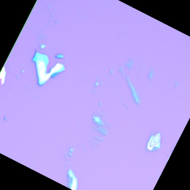 Dataset Image