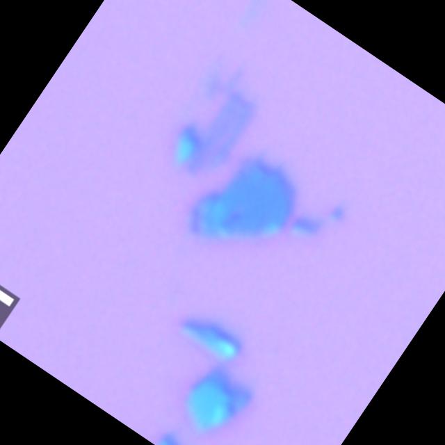 Dataset Image