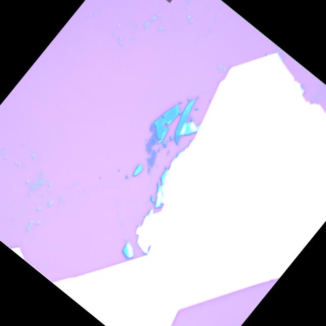 Dataset Image