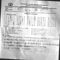 Dataset Image