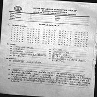 Dataset Image