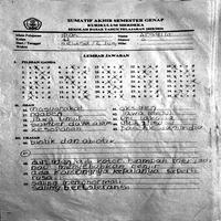 Dataset Image