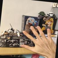 Dataset Image