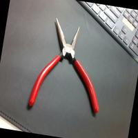 Dataset Image
